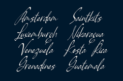 Pamric Mevira Handwritten Ink Font Product Image 6