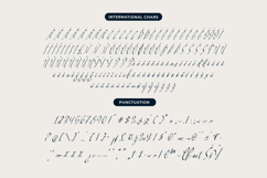 Pamric Mevira Handwritten Ink Font Product Image 13