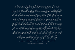 Pamric Mevira Handwritten Ink Font Product Image 14