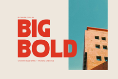 Blonkra Chunky Bold Display Sans Font Product Image 2