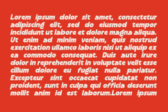 Blonkra Chunky Bold Display Sans Font Product Image 3