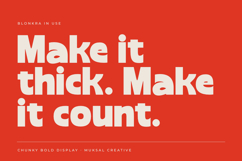 Blonkra Chunky Bold Display Sans Font Product Image 8
