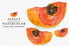 Papaya Watercolor Illustarion Clipart Sublimation Product Image 1