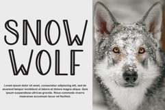 Paper line Product Image 2