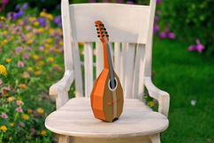Mandolin - 3d papercraft Product Image 3