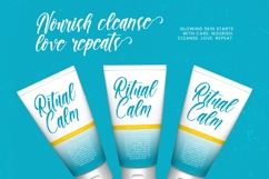 Paradise Holistay - Bold Brush Font Product Image 9