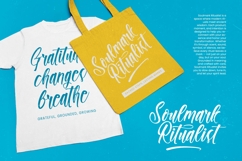 Paradise Holistay - Bold Brush Font Product Image 11