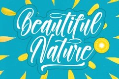 Paradise Holistay - Bold Brush Font Product Image 14