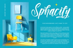 Paradise Holistay - Bold Brush Font Product Image 16