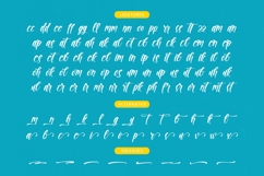 Paradise Holistay - Bold Brush Font Product Image 19