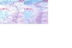 Paradise Watercolor Digital Papers Glitter Background Product Image 5