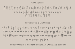 Parallaxes Script Product Image 10