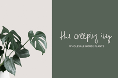 Parallaxes Script Product Image 7