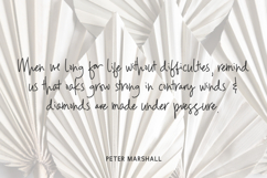 Parallaxes Script Product Image 8