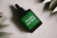 Parfect Silent - Modern Bold Serif Font Product Image 7