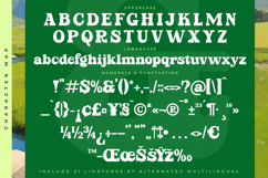 Parfect Silent - Modern Bold Serif Font Product Image 18