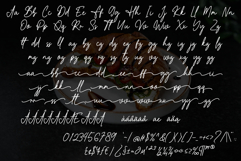 Paris Croissant Product Image 8