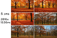 Park with autumn trees Product Image 2