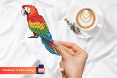 Parrot Sticker, Colorful Parrot Decal, Bird Sticker Product Image 1