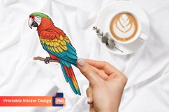 Parrot Sticker, Colorful Parrot Decal, Bird Sticker Product Image 1