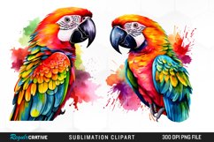 Watercolor Parrots Sublimation PNG Clipart Product Image 1