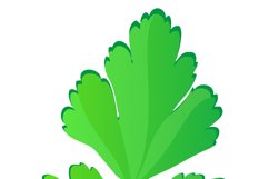 set of icons fresh vegetables vector illustration Product Image 7