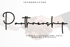 Parthnership Product Image 1