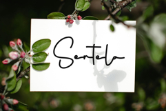 Parthnership Product Image 2