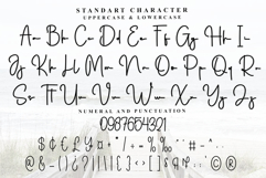 Parthnership Product Image 5