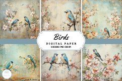 Birds Shabby Chic Backgrounds I Digital Paper Product Image 1