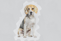 Pastel Watercolor Painting Photoshop Product Image 6