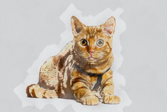 Pastel Watercolor Painting Photoshop Product Image 11