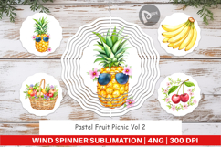 Wind Spinner Fruit Picnic Product Image 1