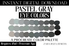 Pastel Gray Eye Colors Procreate Color Palette, 30 Swatches Product Image 1