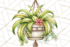 Houseplant Clipart PNG, Pastel Potted Icons Product Image 4