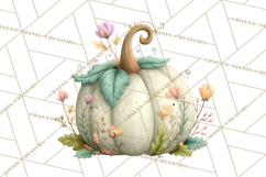 Pumpkin Clipart PNG Autumn Fall Pumpkins Clip Art Product Image 5