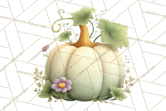 Pumpkin Clipart PNG Autumn Fall Pumpkins Clip Art Product Image 3