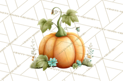 Pumpkin Clipart PNG Autumn Fall Pumpkins Clip Art Product Image 5