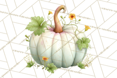 Pumpkin Clipart PNG Autumn Fall Pumpkins Clip Art Product Image 5