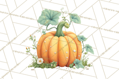 Pumpkin Clipart PNG Autumn Fall Pumpkins Clip Art Product Image 3