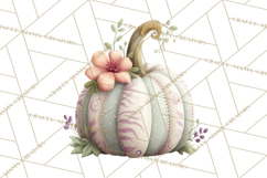 Pumpkin Clipart PNG Autumn Fall Pumpkins Clip Art Product Image 5