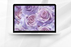 Pastel Purple Roses Digital Paper Bundle Product Image 4