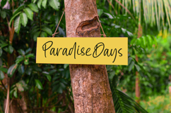 Pastelswirl - Casual Handwritten Script Font Product Image 3
