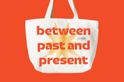 Pastme - Modern Sans Serif Display Product Image 7