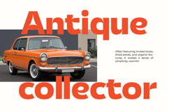 Pastme - Modern Sans Serif Display Product Image 11