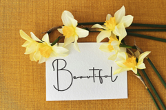 Patrick Tonight Product Image 8