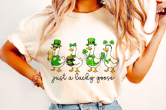 St Patrick's Day Goose PNG, Funny Goose PNG, Lucky Goose PNG Product Image 3