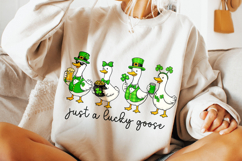 St Patrick's Day Goose PNG, Funny Goose PNG, Lucky Goose PNG Product Image 4