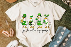St Patrick's Day Goose PNG, Funny Goose PNG, Lucky Goose PNG Product Image 5