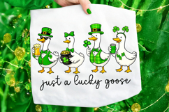 St Patrick's Day Goose PNG, Funny Goose PNG, Lucky Goose PNG Product Image 6